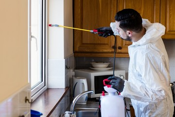 Pest Control Fort Pierce